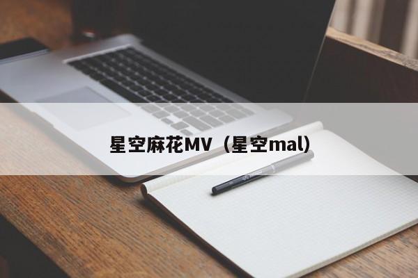 星空麻花MV（星空mal）